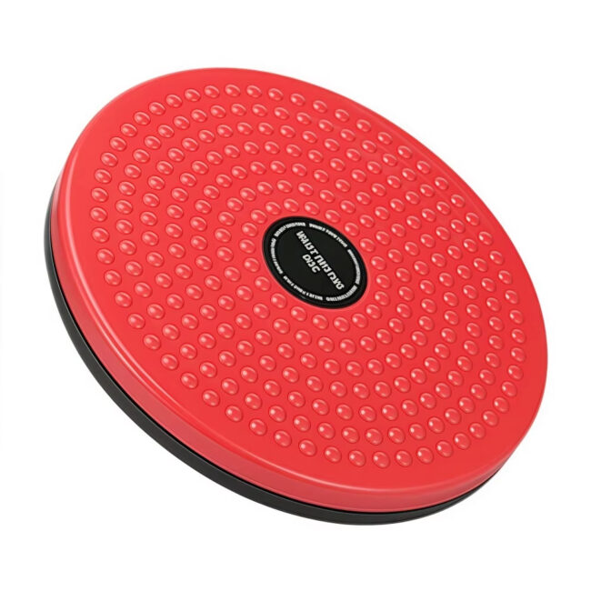 Portable waist twister disc