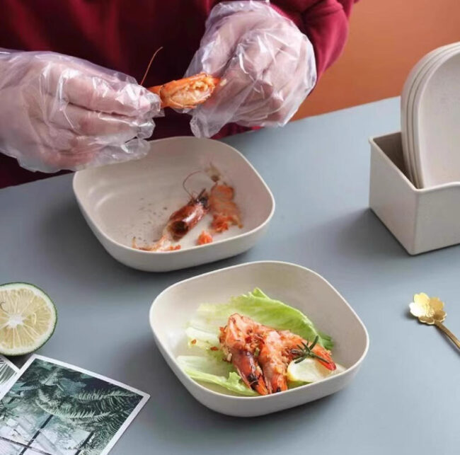 Reusable Plastic Serving Plates for Daily Dining